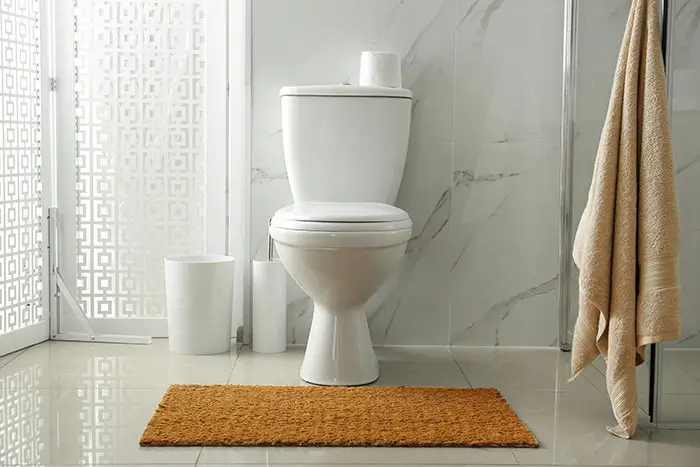 How Can We Solve Your Toilet Troubles?