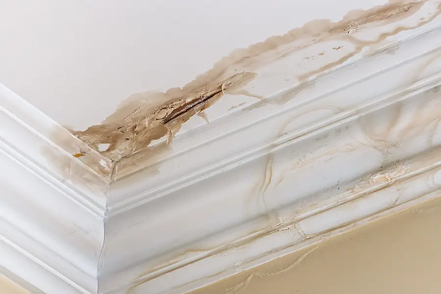How Do Plumbers Detect Hidden Water Leaks?