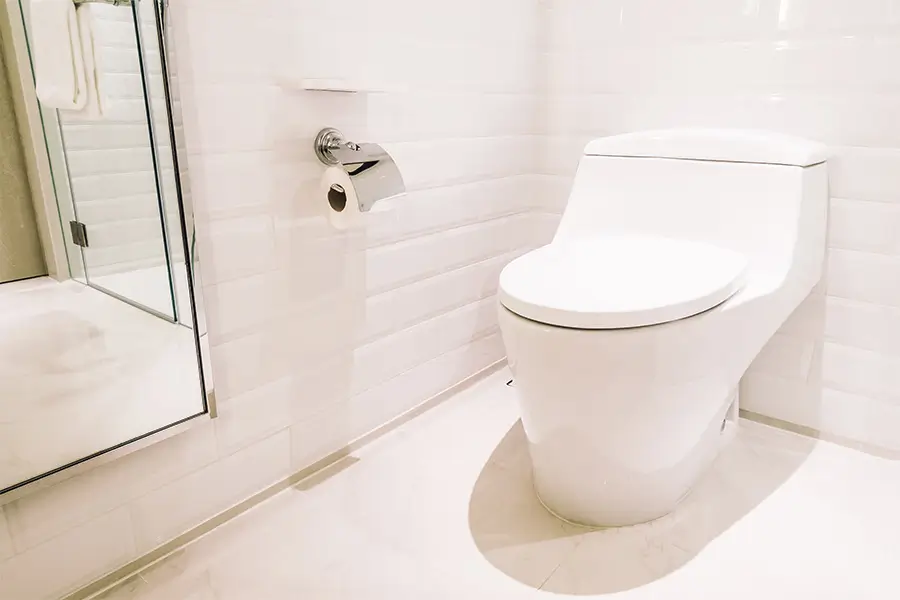 Repair or Replace Your Toilet in Denton County, TX